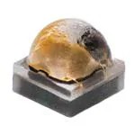 XQEAWT-00-0000-00000BFE3 (Белые светодиоды)