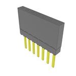 ESW-107-13-G-S (ПК/104 разъемы)