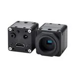 STC-HD213DVN-CS (Камеры и модули камеры)