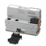 2403869 (Сетевые модули)