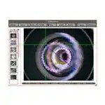 26100-406 (Программное обеспечение)