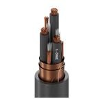 29729C 0101500 (Кабели с несколькими проводниками)