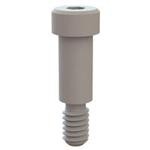 31031062 (Винты и крепежные элементы)