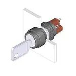 51-236.025D (Переключатели ключей)