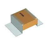 B58031I9254M062 (Специальные керамические конденсаторы)