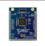 NAE-CW308T-K82F (Доски разработки и наборы - рука)