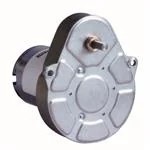 82861018 (AC, DC & Servo Motors)