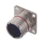 D38999/21NC35PN (Circular Mil Spec -Connector)