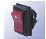 R13-49A-05-BR (Рокер -переключатели)