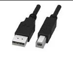 CA-USB-AM-BM-6FT (USB -кабели / IEEE 1394 Кабели)