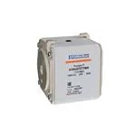 T1013903 (Специальные предохранители)