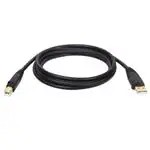 U022-010 (USB -кабели / IEEE 1394 Кабели)