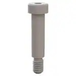 31037125 (Винты и крепежные элементы)