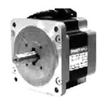 SM2861-5252 (Шаговые двигатели)