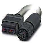 1609303 (DC Power Cords)