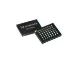 AS3016316-045nX0IBCY (Мрэм)