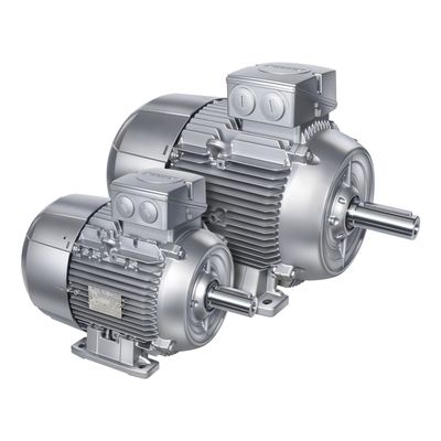 Siemens 1LE1001
