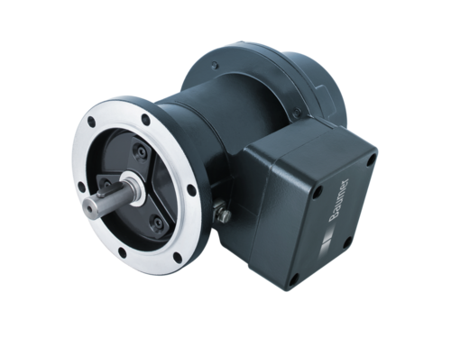 Баумер EEx GP 0,2