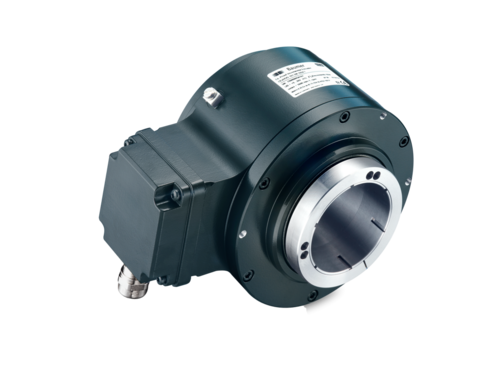 Баумер EEx HOG 161