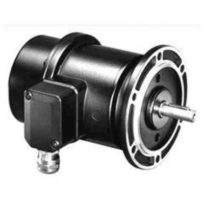 Baumer TDP0.2 LT-1 B10 55