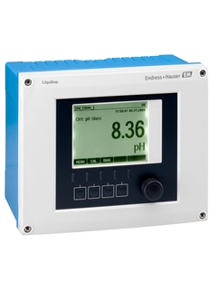 Endress+Hauser CM442-AAM1A2F210A