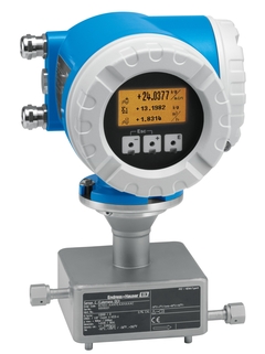 Endress+Hauser Cubemass DCI