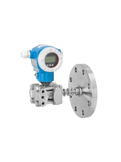 Endress+Hauser FMD77-1BA7D11BFAEN, FMD77-26L47/0