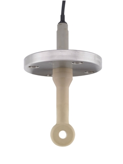 Endress+Hauser Indumax CLS50D