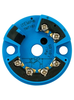 Endress+Hauser iTEMP TMT181