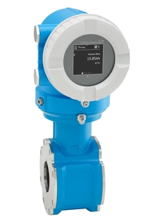 Endress+Hauser Proline Promag D10