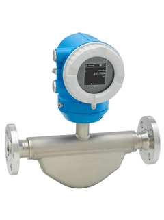 Endress+Hauser Proline Promass K 10