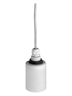 Endress+Hauser FDU91-RG2AA