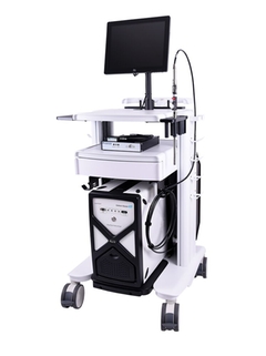 Мобильная тележка Endress+Hauser Raman Rxn2
