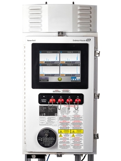 Endress+Hauser Raman Rxn5