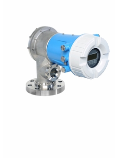 Endress+Hauser Proservo NMS81