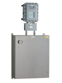 Endress+Hauser SS2100a