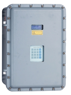 Endress+Hauser SS2100is