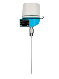 Endress+Hauser T55