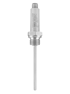 Endress+Hauser TMR31-A1BABBAB1AAA