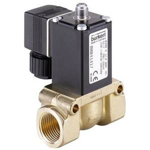 Burkert Тип 6211 163394